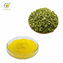 FDA Approved Organic Sophora Flower Bud Extract Quercetin 98%